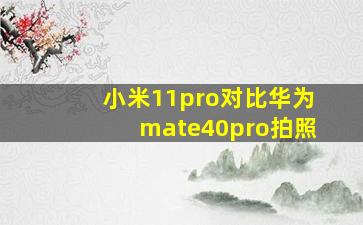 小米11pro对比华为mate40pro拍照