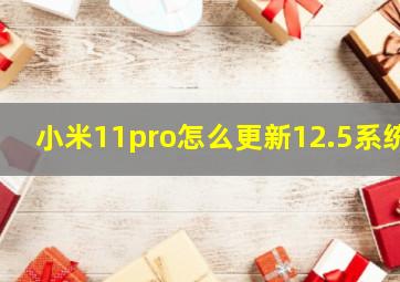 小米11pro怎么更新12.5系统