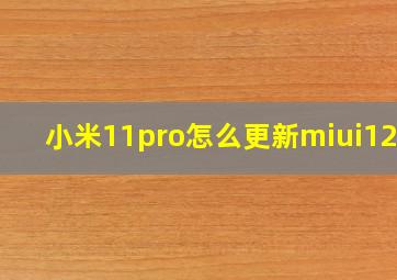 小米11pro怎么更新miui12.5