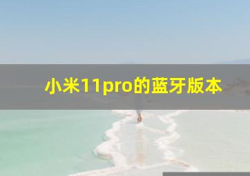 小米11pro的蓝牙版本