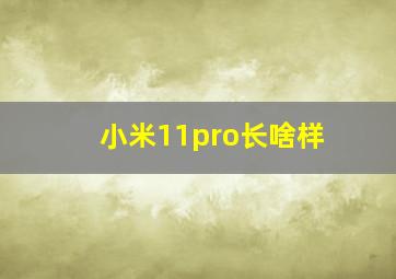 小米11pro长啥样