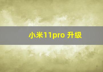 小米11pro 升级