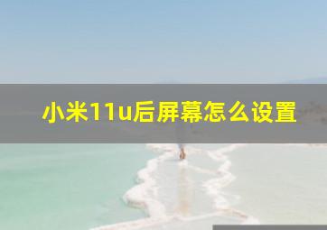 小米11u后屏幕怎么设置