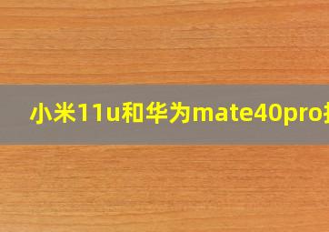 小米11u和华为mate40pro拍照