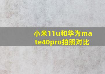 小米11u和华为mate40pro拍照对比