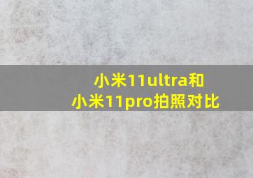 小米11ultra和小米11pro拍照对比