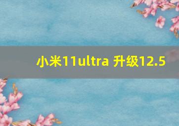 小米11ultra 升级12.5