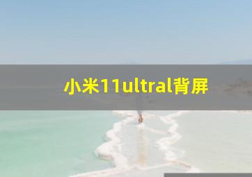 小米11ultral背屏