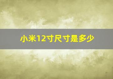 小米12寸尺寸是多少