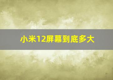 小米12屏幕到底多大