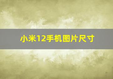 小米12手机图片尺寸