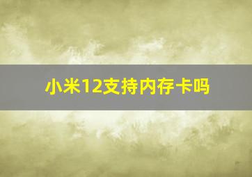 小米12支持内存卡吗