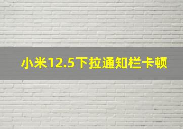 小米12.5下拉通知栏卡顿