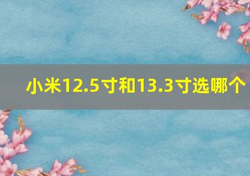 小米12.5寸和13.3寸选哪个