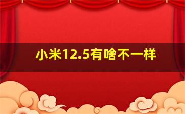 小米12.5有啥不一样