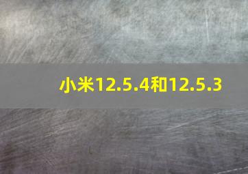 小米12.5.4和12.5.3