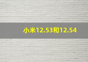 小米12.53和12.54