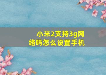 小米2支持3g网络吗怎么设置手机