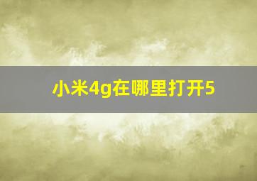 小米4g在哪里打开5##G开关