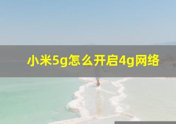 小米5g怎么开启4g网络