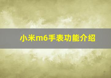 小米m6手表功能介绍