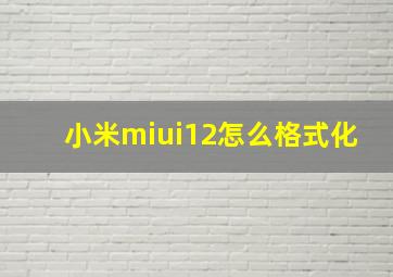 小米miui12怎么格式化