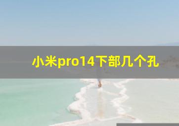 小米pro14下部几个孔