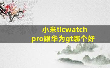 小米ticwatch pro跟华为gt哪个好