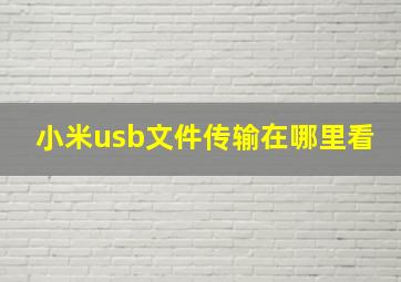 小米usb文件传输在哪里看