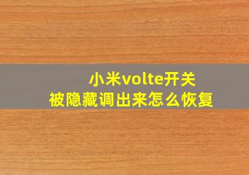 小米volte开关被隐藏调出来怎么恢复