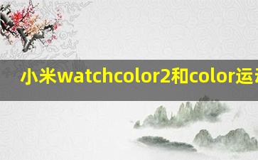 小米watchcolor2和color运动版