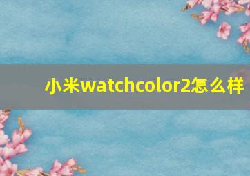 小米watchcolor2怎么样