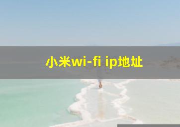 小米wi-fi ip地址