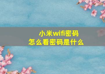 小米wifi密码怎么看密码是什么