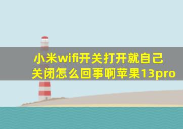 小米wifi开关打开就自己关闭怎么回事啊苹果13pro