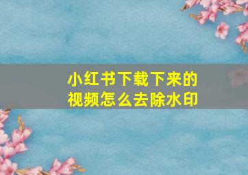 小红书下载下来的视频怎么去除水印