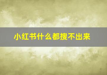 小红书什么都搜不出来