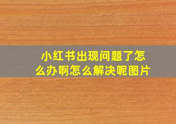 小红书出现问题了怎么办啊怎么解决呢图片