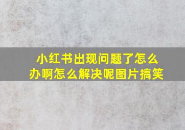 小红书出现问题了怎么办啊怎么解决呢图片搞笑