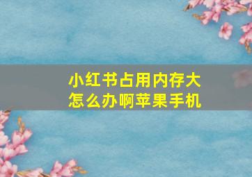 小红书占用内存大怎么办啊苹果手机