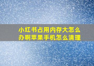 小红书占用内存大怎么办啊苹果手机怎么清理