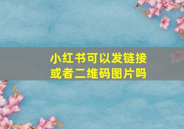 小红书可以发链接或者二维码图片吗