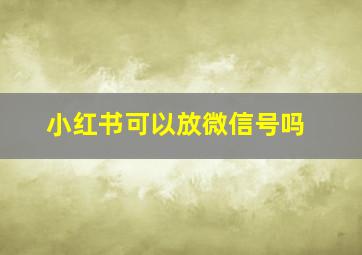 小红书可以放微信号吗