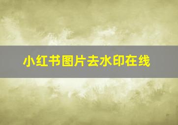 小红书图片去水印在线