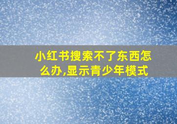 小红书搜索不了东西怎么办,显示青少年模式