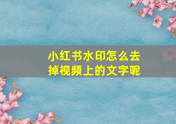 小红书水印怎么去掉视频上的文字呢