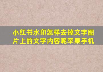 小红书水印怎样去掉文字图片上的文字内容呢苹果手机