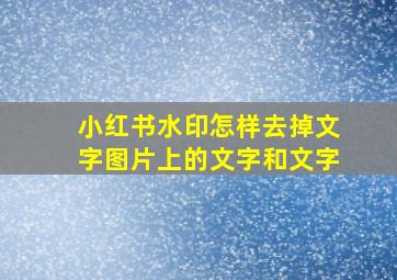 小红书水印怎样去掉文字图片上的文字和文字