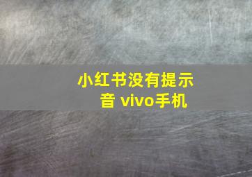 小红书没有提示音 vivo手机