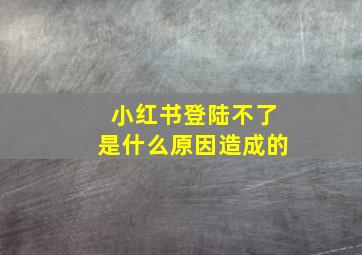 小红书登陆不了是什么原因造成的